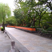 白川沿い