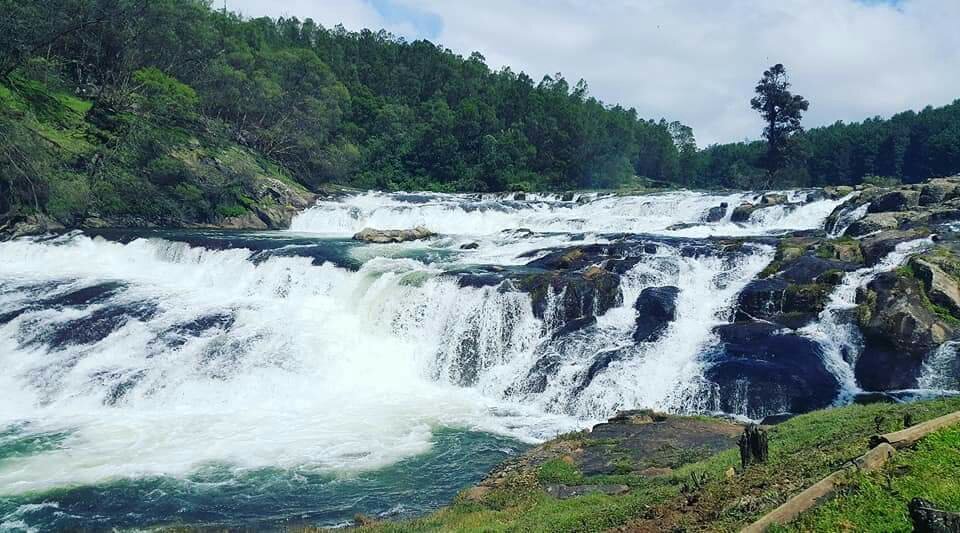 Pykara Falls (Ooty (Udhagamandalam)) - All You Need to Know BEFORE You Go  (with Photos) - Tripadvisor