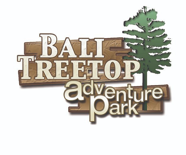 Bali Treetop Adventure Park image