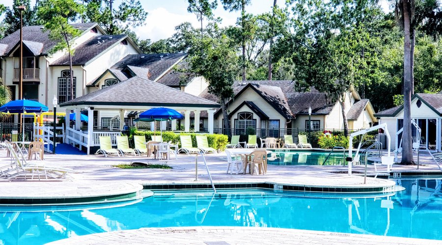 Lagoon Style Pool