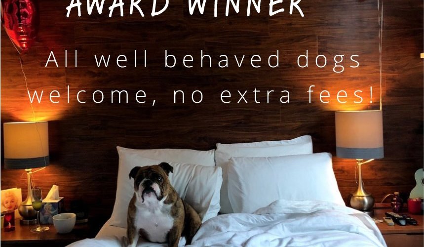 2025 Best Place to Stay for a Holiday VACAY!  "Dog Friendly Guide to Burlington, VT - FEBRUARY 8, 2023 DOG FRIENDLY TRIPS, VERMONT Dog Friendly Hotels in Burlington MADE INN VERMONT Made Inn Vermont, Burlington’s only historic bed and breakfast, is a home away from home for both you and your pet. It’s in the perfect location within walking distance of downtown. The owner will readily offer suggestions for pet friendly restaurants and things to do in Burlington. .... by Mapped by Megan“