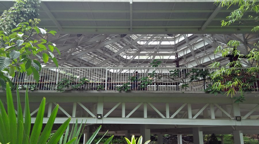 Parish of the Immaculate Heart of Mary, Rizal - From Below