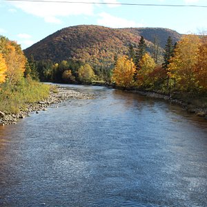 Margaree River - fall fishing