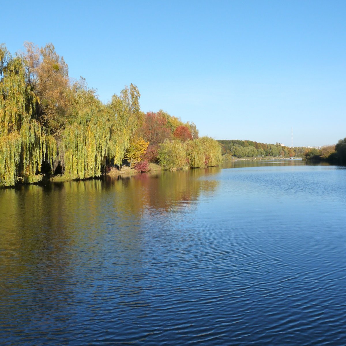 Парк Дружбы народов