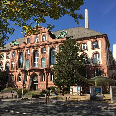 フランクフルトの美術館 博物館 ベスト10 トリップアドバイザー