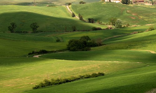 Lajatico, Italy 2023: Best Places to Visit - Tripadvisor