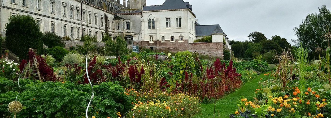 Vue du potager