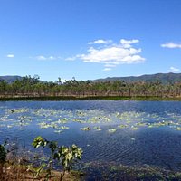 Cape Melville National Park (CYPAL)