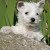 agathe W