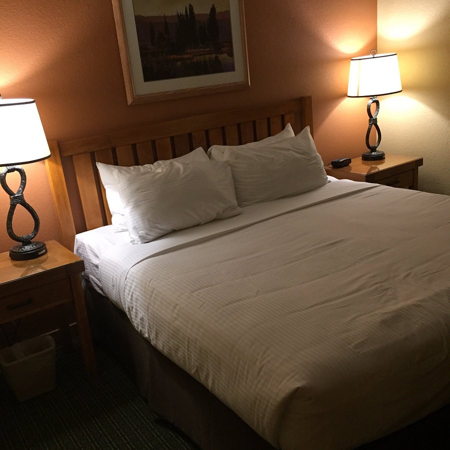 Cedar Breaks Lodge 49 ̶7̶4̶ Updated 2020 Prices And Hotel Reviews Brian Head Utah