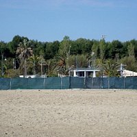 La pineta vista dall'arenile