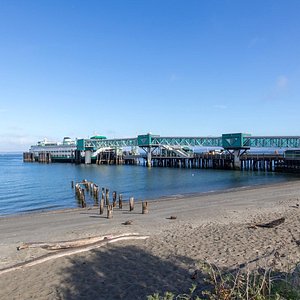 are dogs allowed at edmonds beach