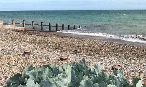 Middleton-on-Sea beach near Elmer