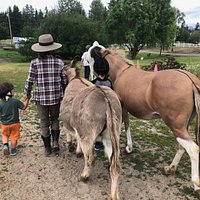 Join one of our programs like Horsing Around or book a horse interaction ahead of time!