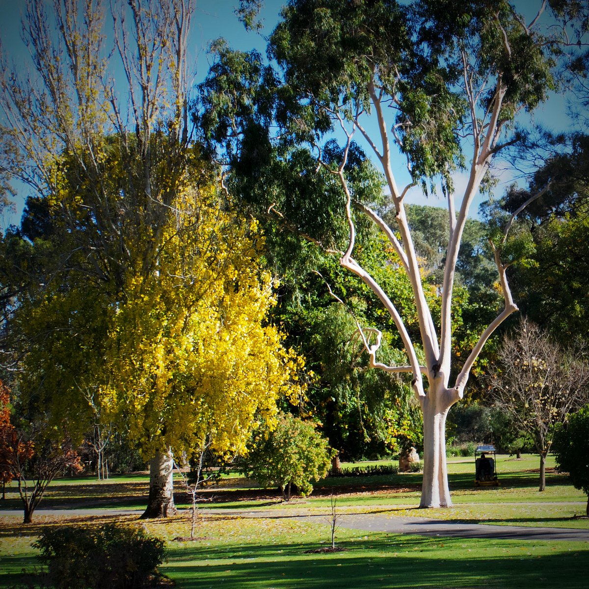 bendigo-botanic-gardens-ce-qu-il-faut-savoir-pour-votre-visite-2022