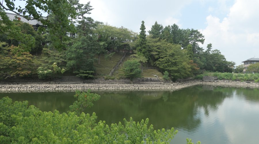 猿沢の池とは雰囲気が違いますね。