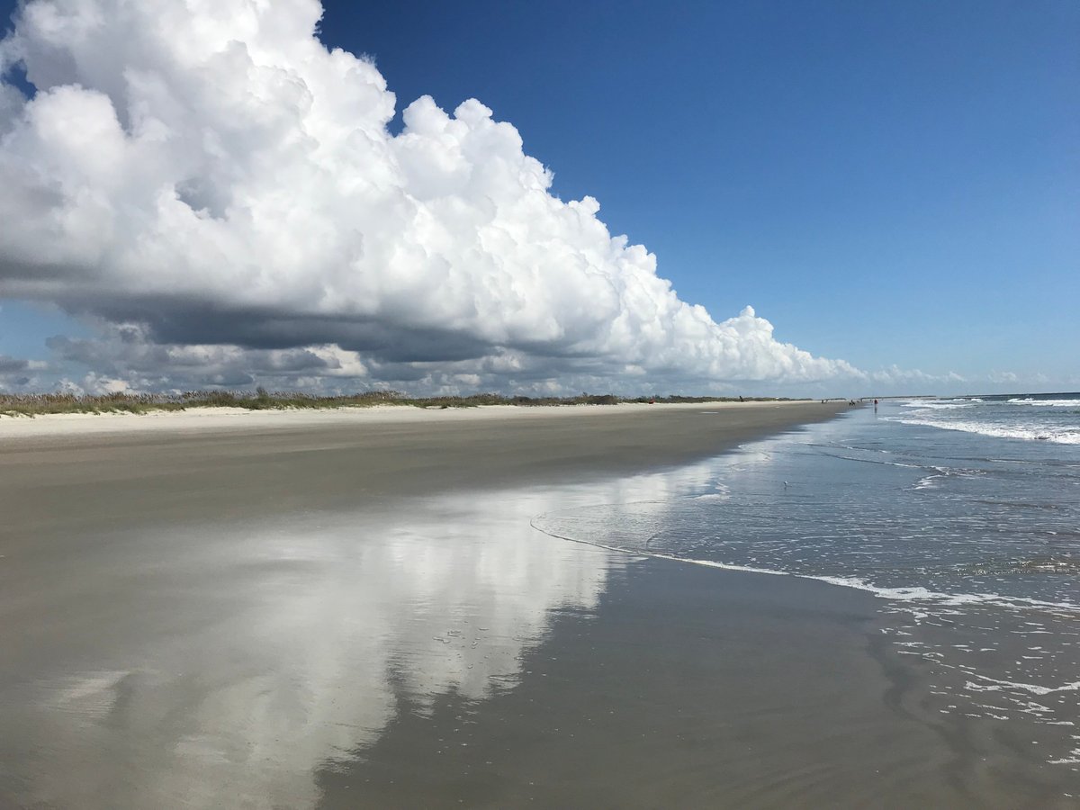 Huntington Beach State Park: South Carolina's Coastal Gem