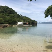 Danjugan Island Marine Reserve and Sanctuaries (Cauayan): AGGIORNATO ...