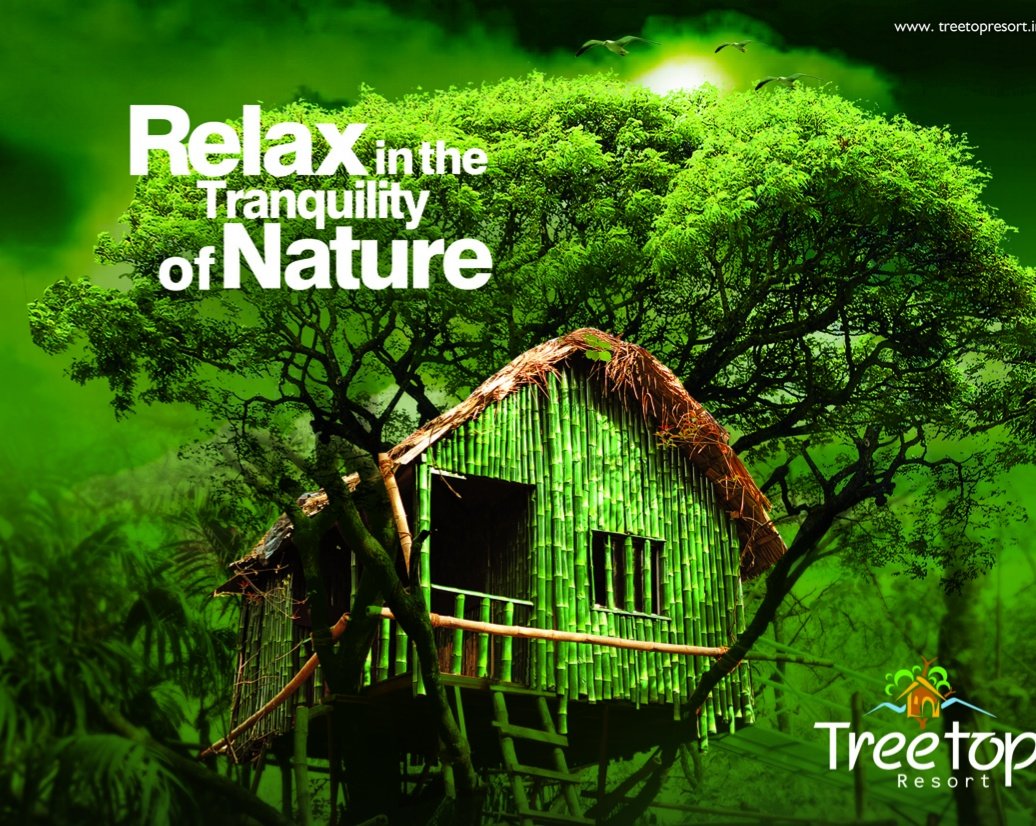 SILENT VALLEY TREETOP RESORT - Updated 2021 Prices & Hotel Reviews ...