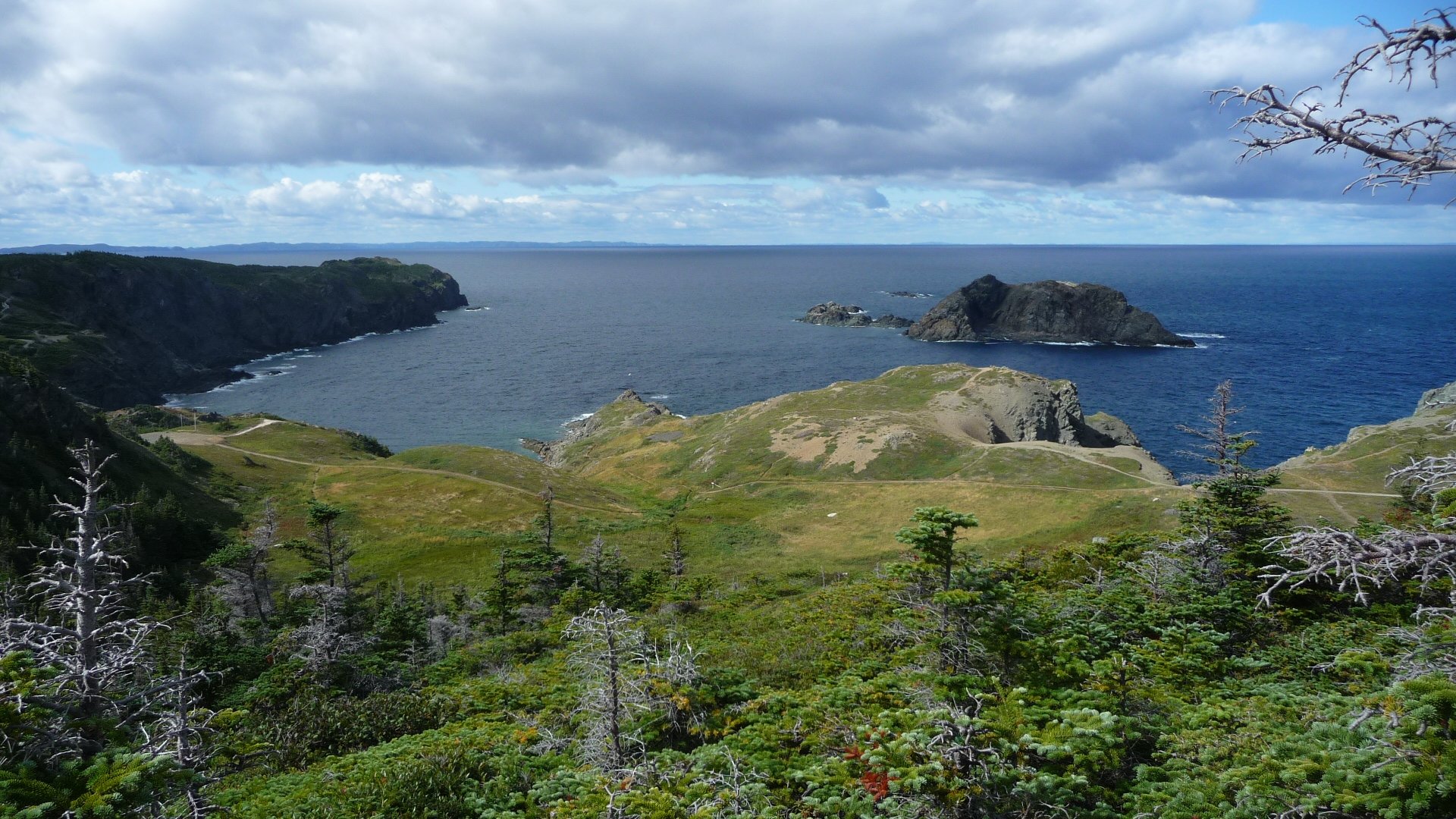 Tourisme à Twillingate 2023 : Visiter Twillingate, Canada - Tripadvisor