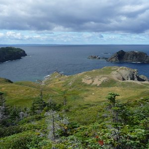 Twillingate, Newfoundland and Labrador 2024: Best Places to Visit ...