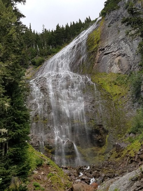 Mount Rainier National Park Streator J review images