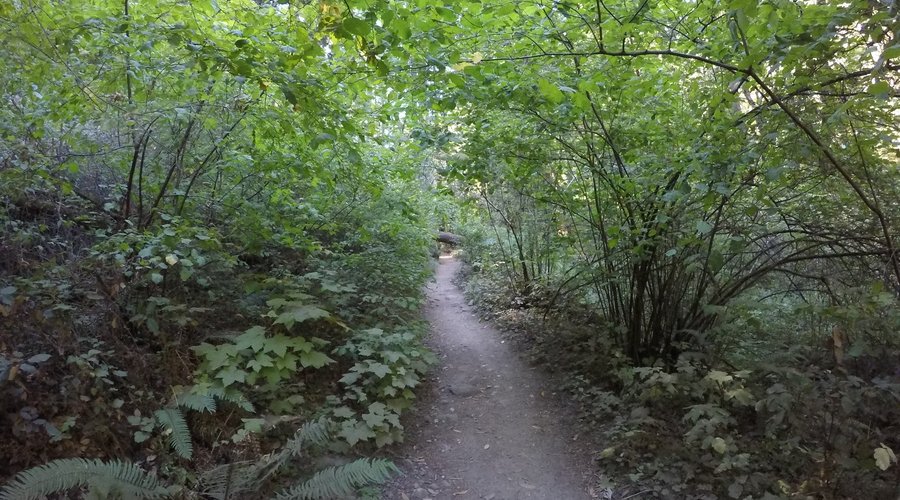 Natural tunnel