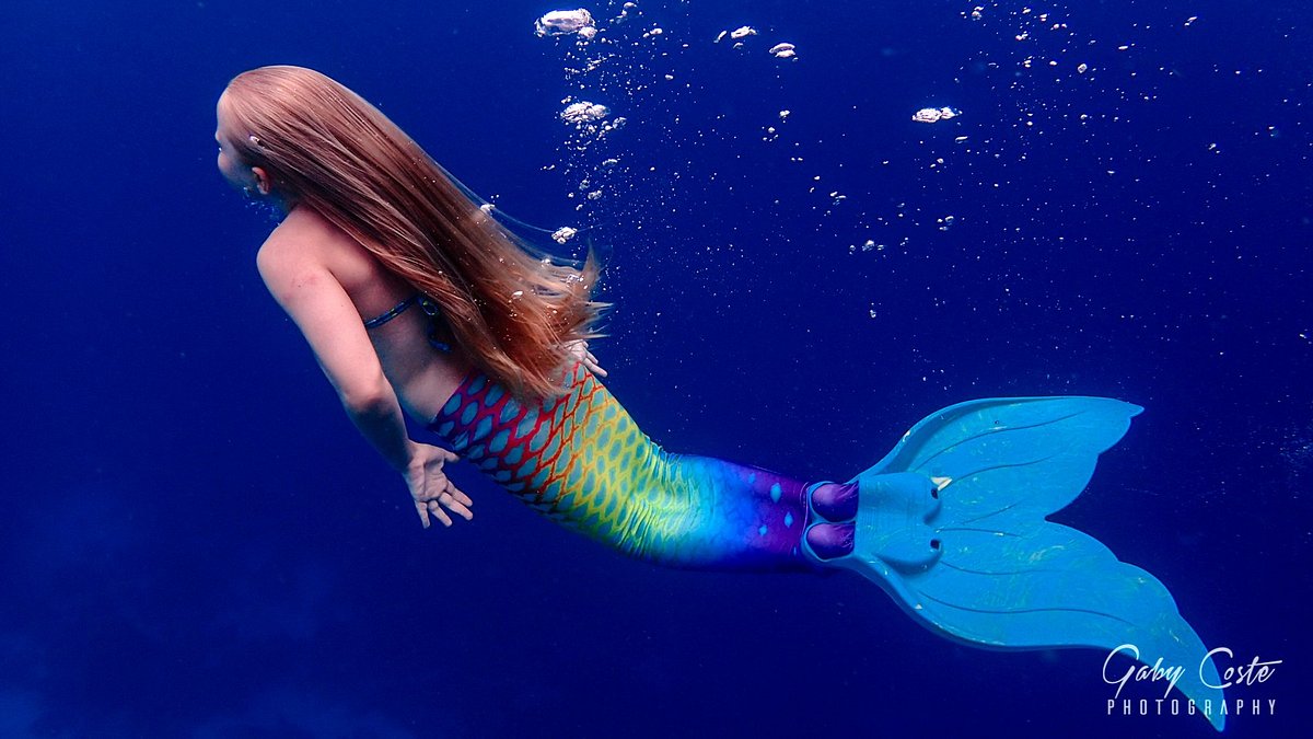 Mermaid Bonaire (Kralendijk) - All You Need to Know BEFORE You Go