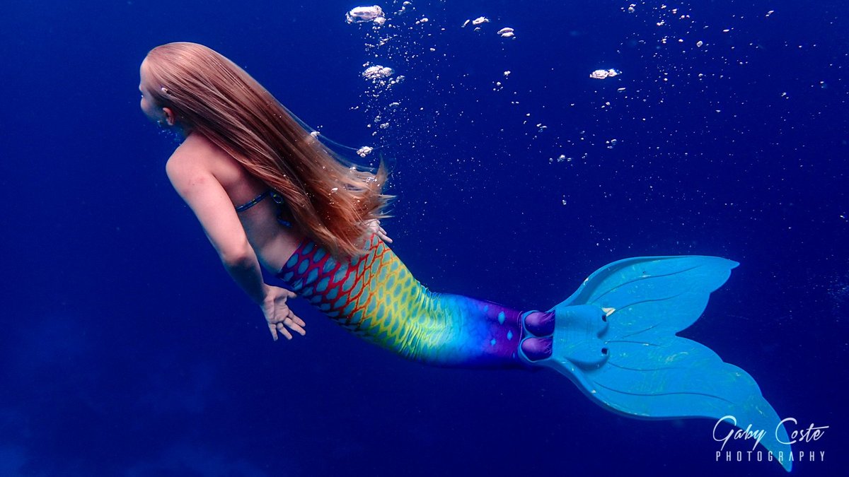 Mermaid Bonaire (Kralendijk) - All You Need to Know BEFORE You Go