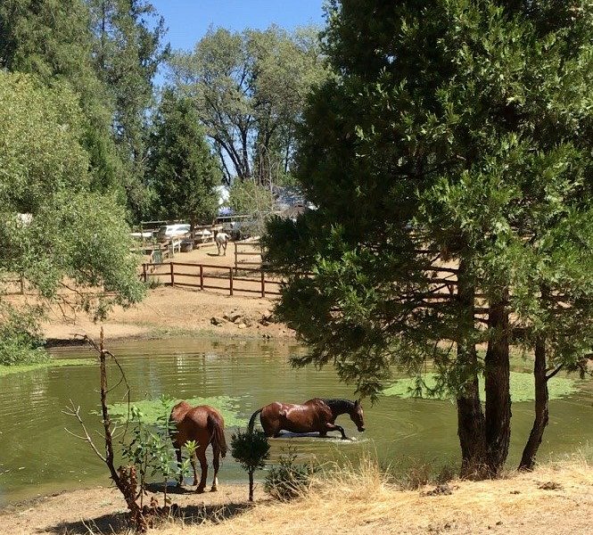 Red Moon Ranch image