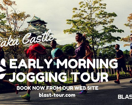 osaka castle boat tour