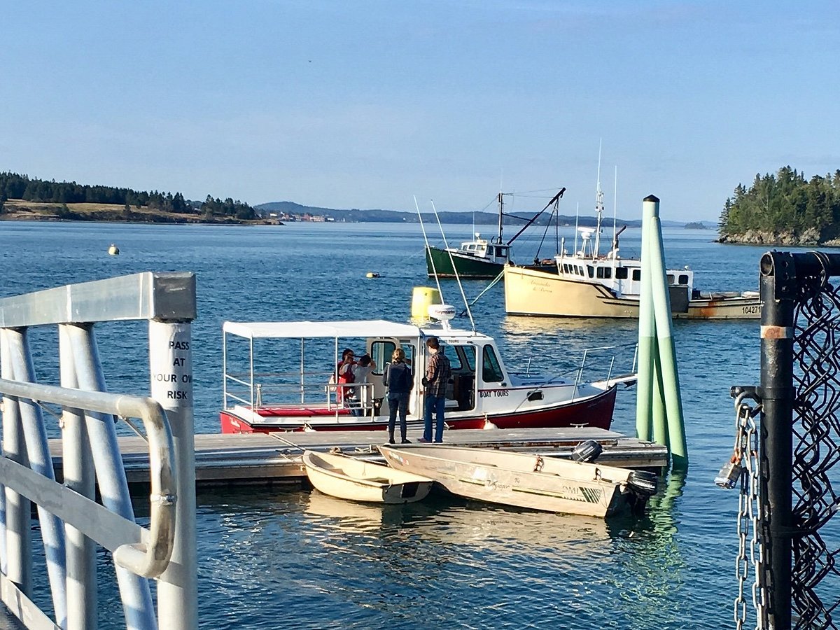 DOWNEAST CHARTER BOAT TOURS (Lubec) 2022 Qué saber antes de ir Lo