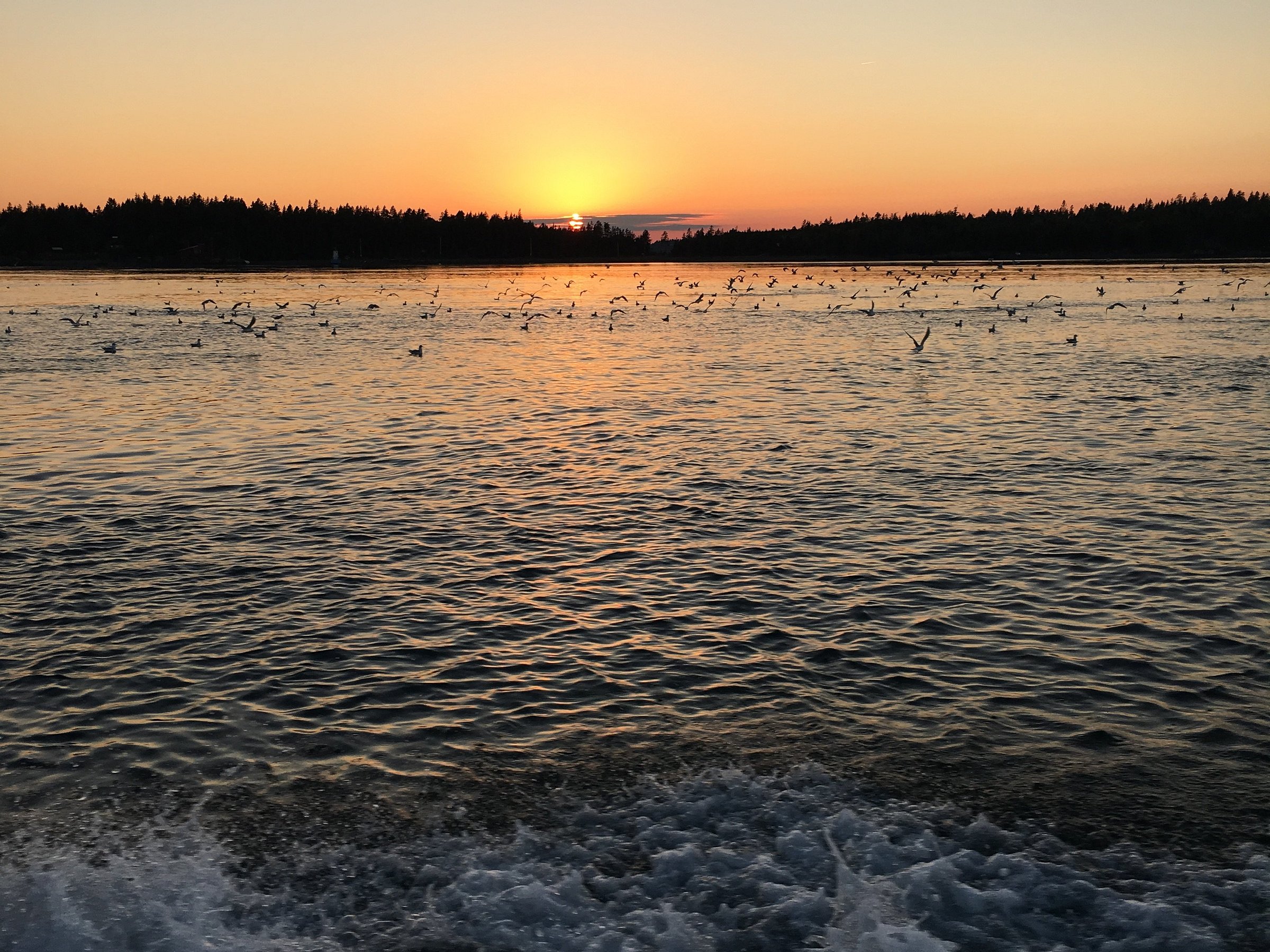 Downeast Charter Boat Tours (Lubec) All You Need to Know BEFORE You Go