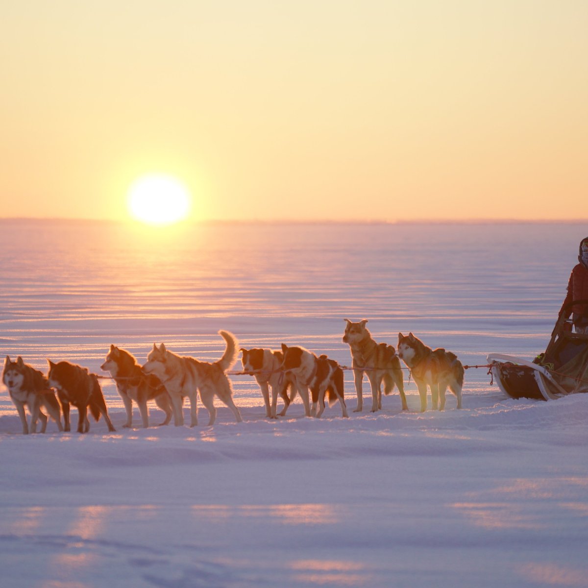 Скифы Тур, п. Матросы: лучшие советы перед посещением - Tripadvisor