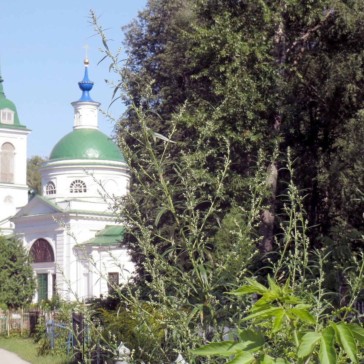 Спасский храм , Тула - Tripadvisor