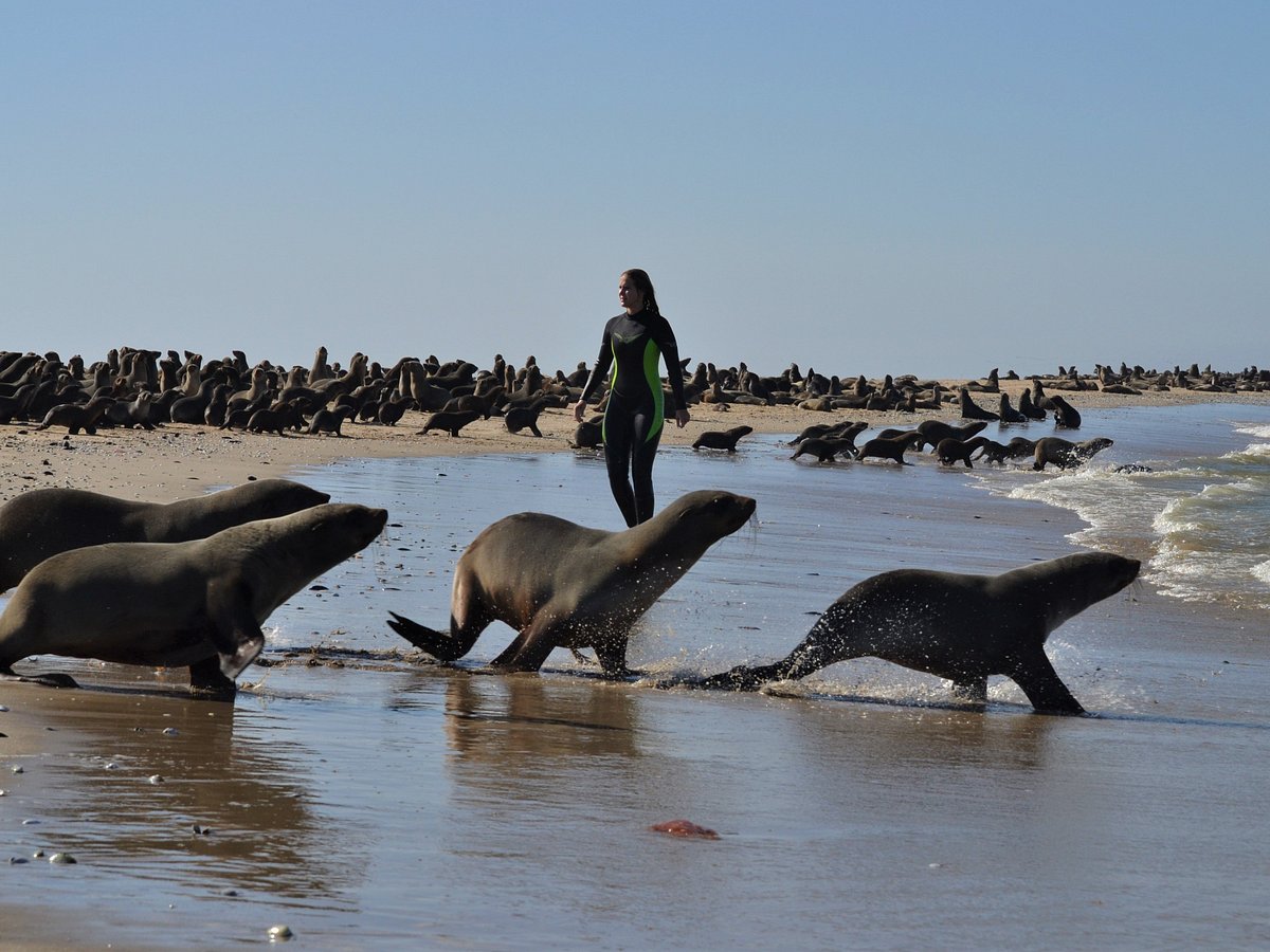 namibia surf tours