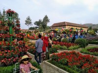 BEGONIA GARDEN (Lembang) - All You Need to Know BEFORE You Go