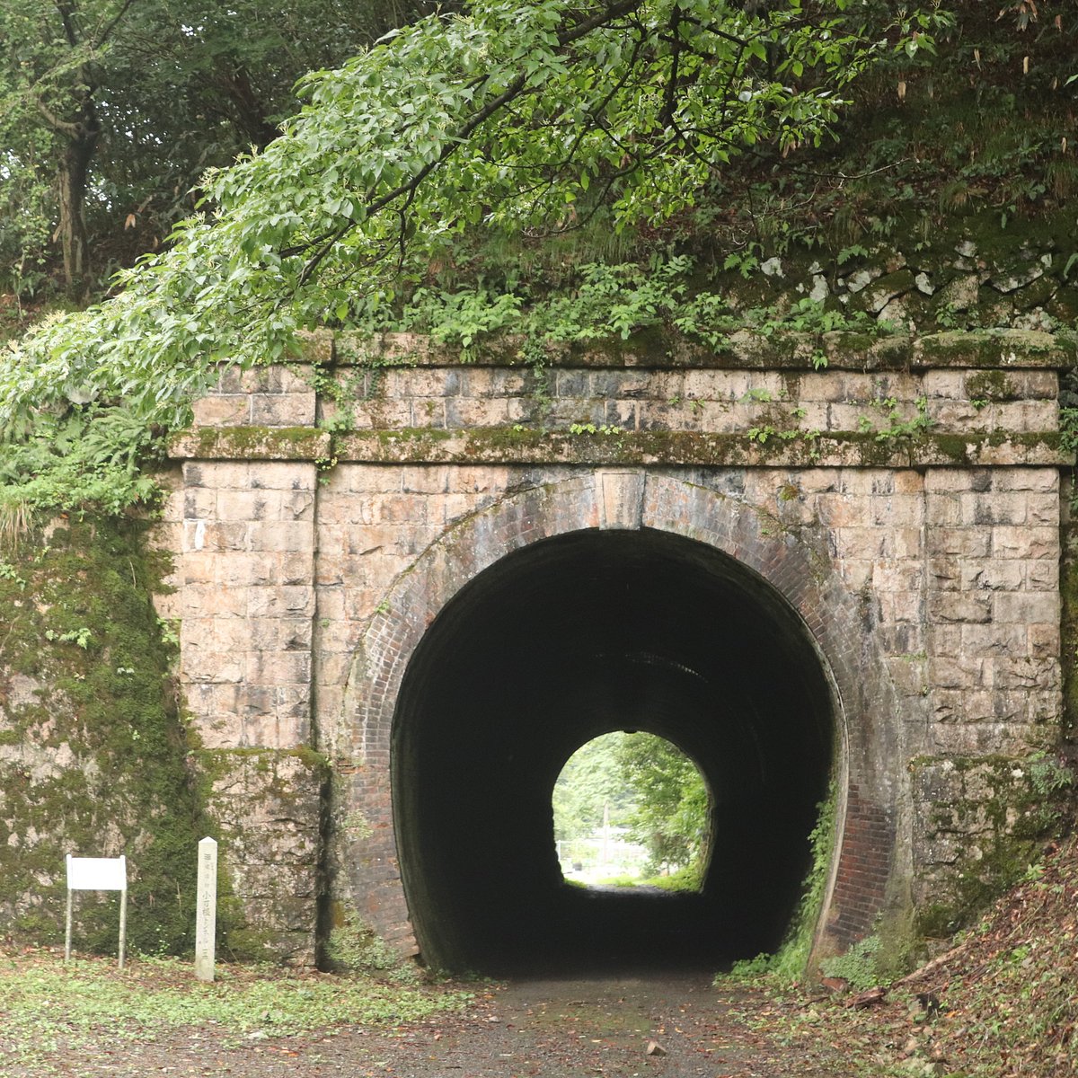 Kotone Tunnel Tsuruga All You Need To Know Before You Go
