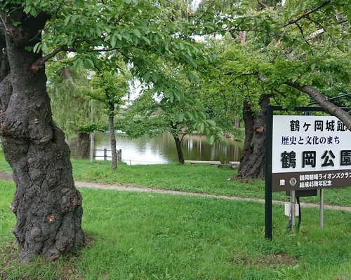 鶴岡市の公園 自然 ベスト10 トリップアドバイザー