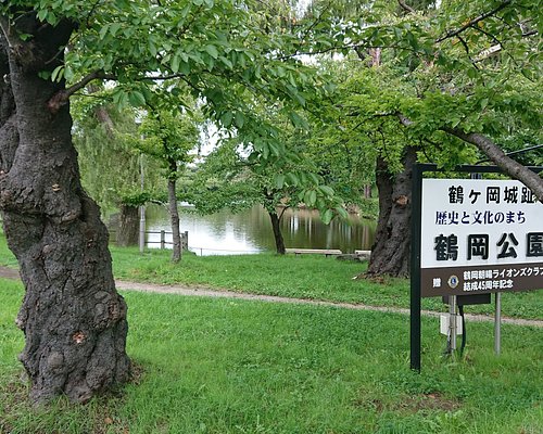 鶴岡市の公園 自然 ベスト10 トリップアドバイザー 鶴岡市の公園 自然 ベスト10 トリップアドバイザー