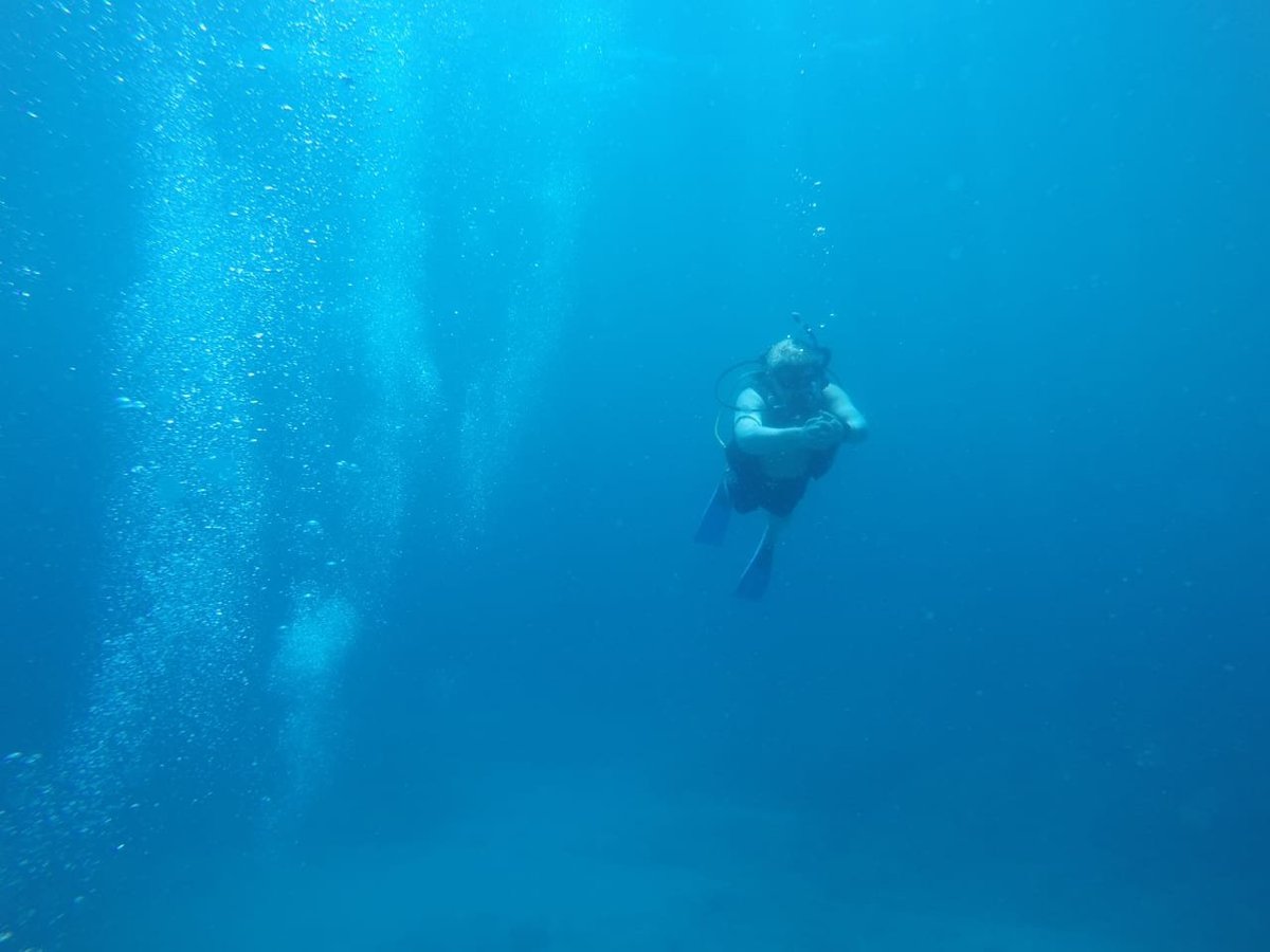 dolin dive and water sport