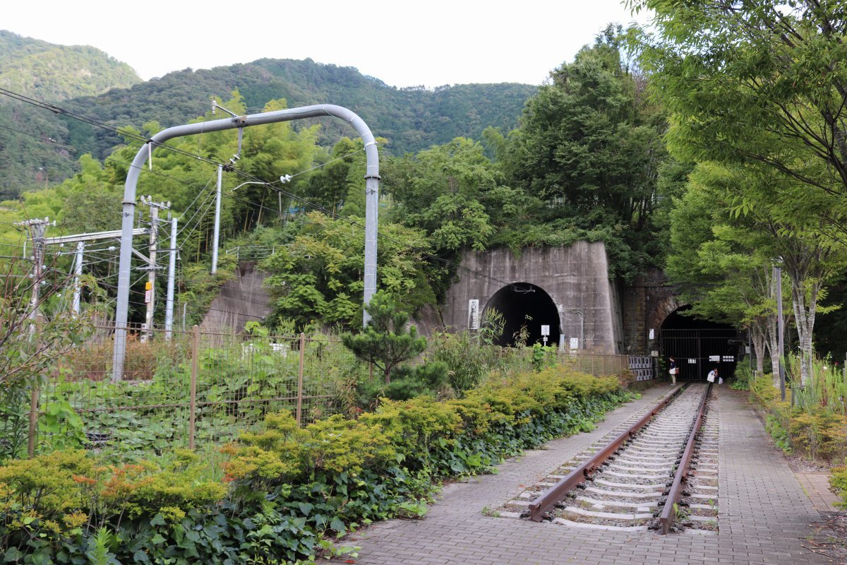 2024年 大日影トンネル遊歩道 - 行く前に！見どころをチェック