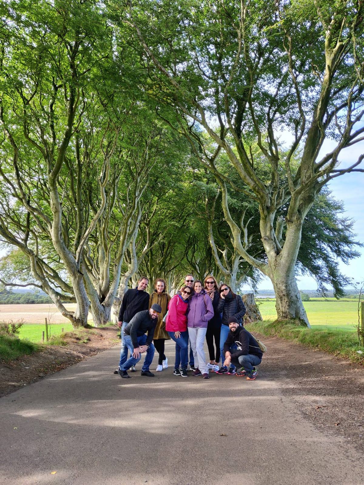 FINN MCCOOLS TOURS Dublin Ce Qu Il Faut Savoir Pour Votre Visite   Small Group At Dark Hedges 