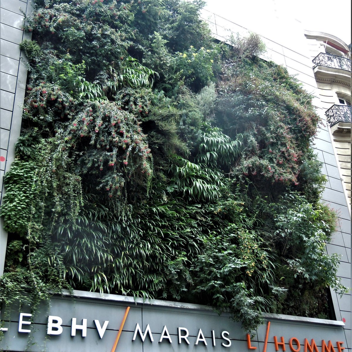 Le Mur Vegetal, Париж: лучшие советы перед посещением - Tripadvisor