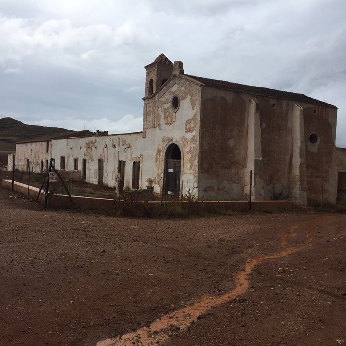 Imagen 11 de Albaricoques Rural