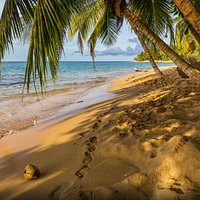 Playa Manzanillo con el tour de Touristik