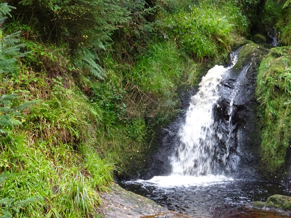 Gortin Glen Forest Park (omagh): All You Need To Know