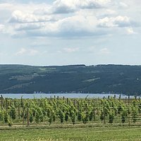 Azure Hill Winery is located on the Weat side of Keuka Lake, NY