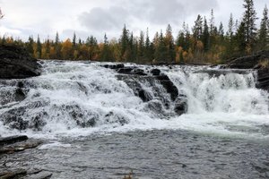 Resenär