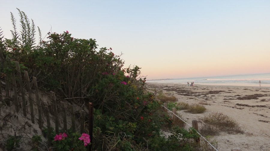 Beautiful end of perfect day at Footbridge Beach